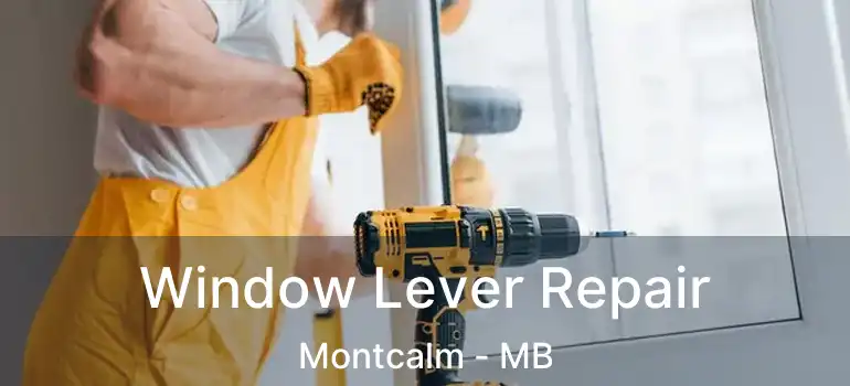  Window Lever Repair Montcalm - MB