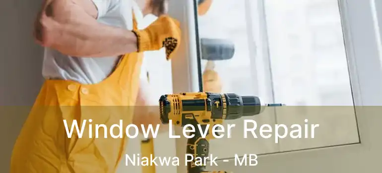  Window Lever Repair Niakwa Park - MB