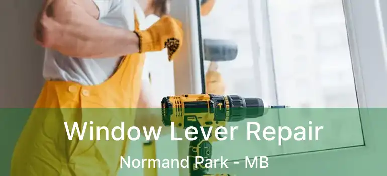  Window Lever Repair Normand Park - MB