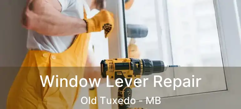  Window Lever Repair Old Tuxedo - MB