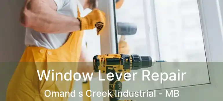  Window Lever Repair Omand s Creek Industrial - MB