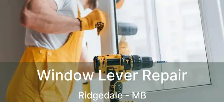  Window Lever Repair Ridgedale - MB
