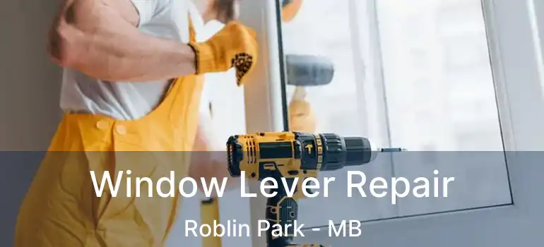  Window Lever Repair Roblin Park - MB