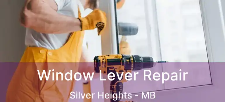  Window Lever Repair Silver Heights - MB