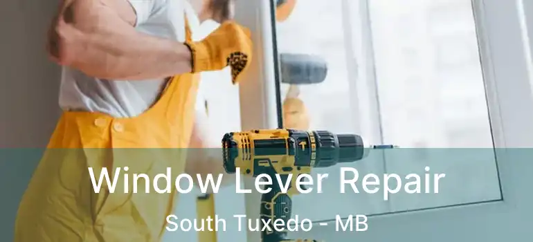  Window Lever Repair South Tuxedo - MB