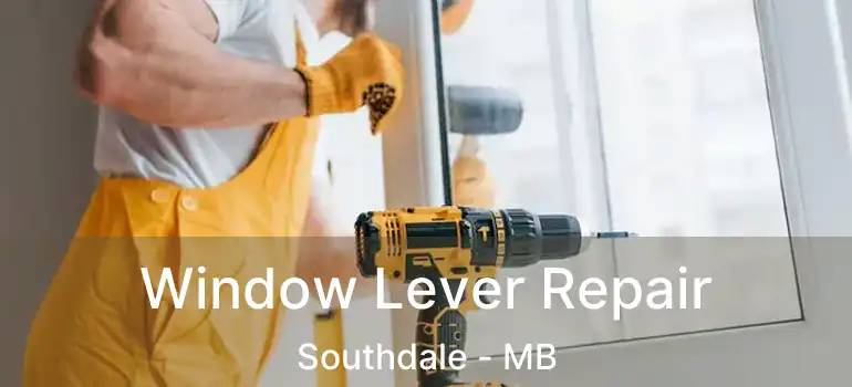  Window Lever Repair Southdale - MB