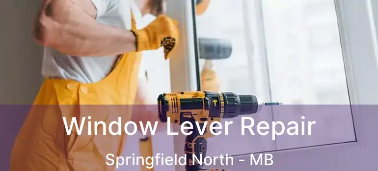  Window Lever Repair Springfield North - MB