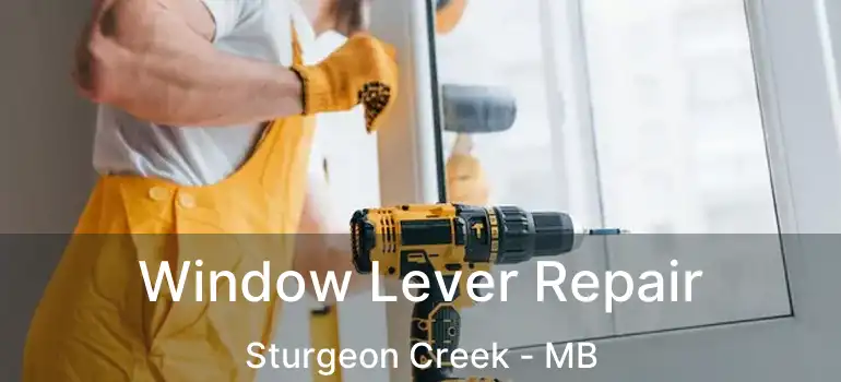  Window Lever Repair Sturgeon Creek - MB