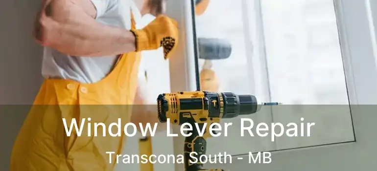  Window Lever Repair Transcona South - MB