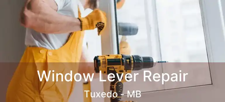  Window Lever Repair Tuxedo - MB