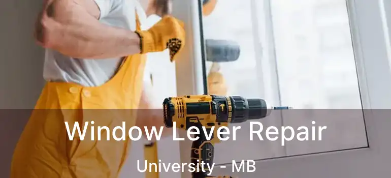  Window Lever Repair University - MB