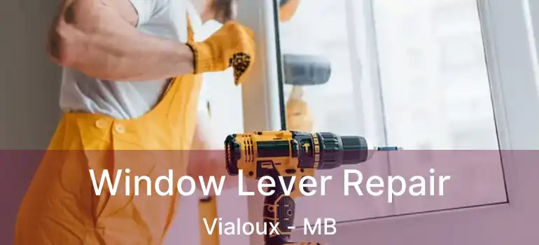  Window Lever Repair Vialoux - MB