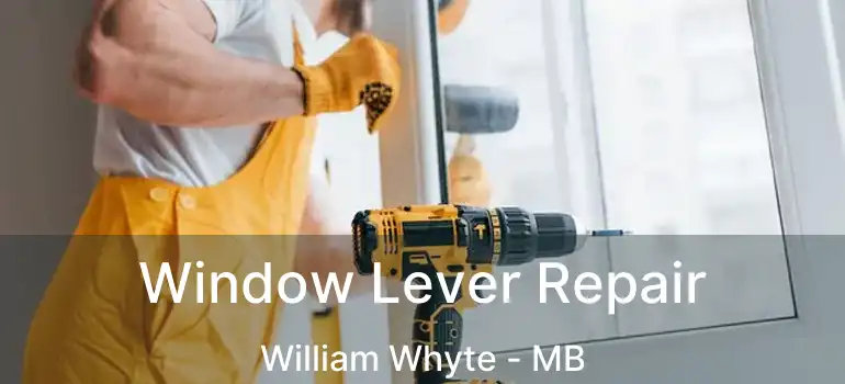  Window Lever Repair William Whyte - MB