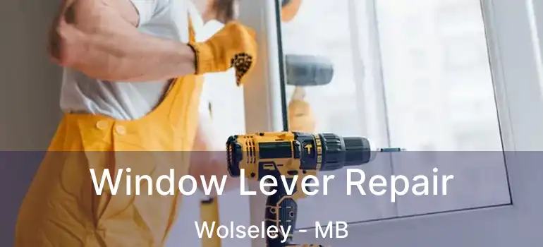  Window Lever Repair Wolseley - MB