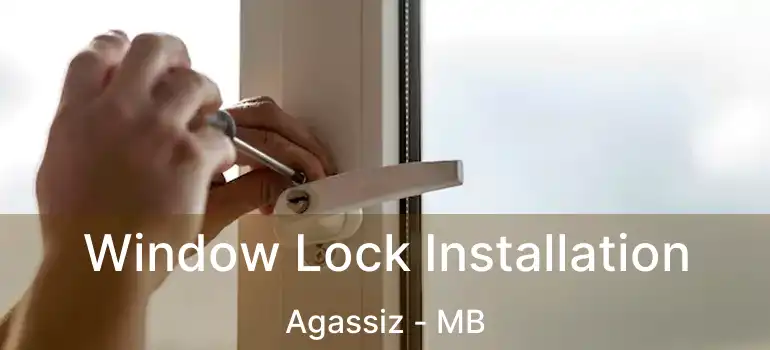  Window Lock Installation Agassiz - MB