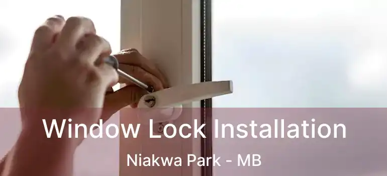  Window Lock Installation Niakwa Park - MB