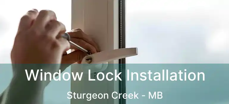  Window Lock Installation Sturgeon Creek - MB