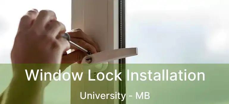  Window Lock Installation University - MB