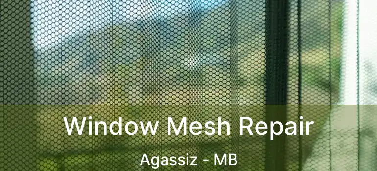  Window Mesh Repair Agassiz - MB