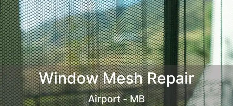  Window Mesh Repair Airport - MB