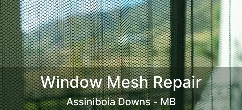  Window Mesh Repair Assiniboia Downs - MB