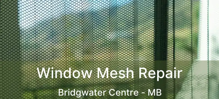  Window Mesh Repair Bridgwater Centre - MB