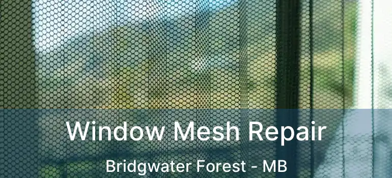  Window Mesh Repair Bridgwater Forest - MB