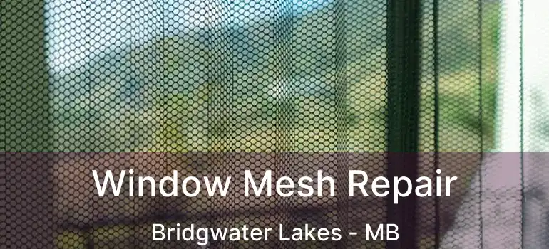  Window Mesh Repair Bridgwater Lakes - MB