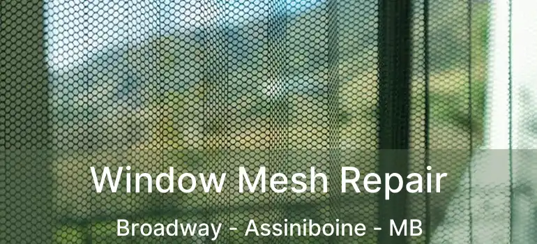  Window Mesh Repair Broadway - Assiniboine - MB