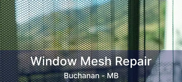  Window Mesh Repair Buchanan - MB
