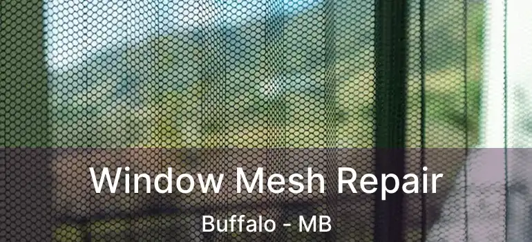  Window Mesh Repair Buffalo - MB