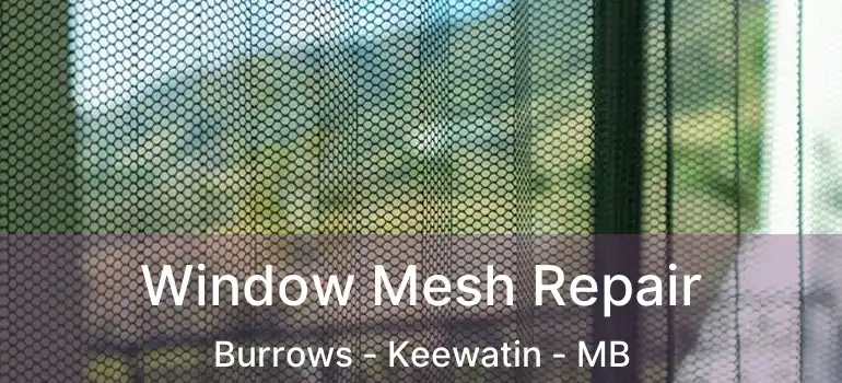  Window Mesh Repair Burrows - Keewatin - MB