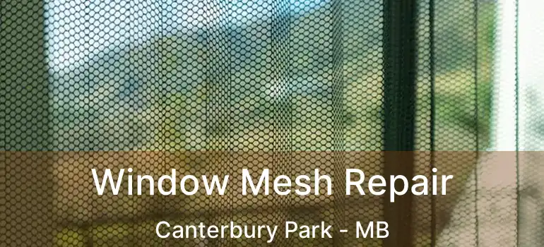  Window Mesh Repair Canterbury Park - MB