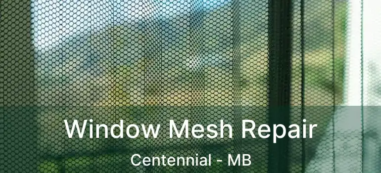  Window Mesh Repair Centennial - MB