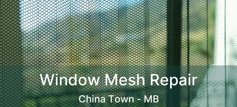  Window Mesh Repair China Town - MB