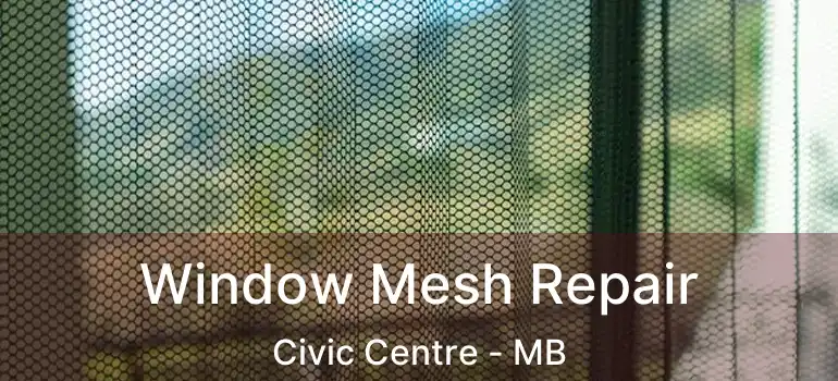  Window Mesh Repair Civic Centre - MB