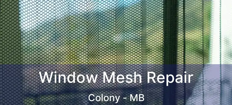  Window Mesh Repair Colony - MB