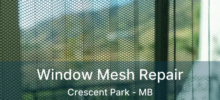  Window Mesh Repair Crescent Park - MB