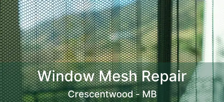  Window Mesh Repair Crescentwood - MB