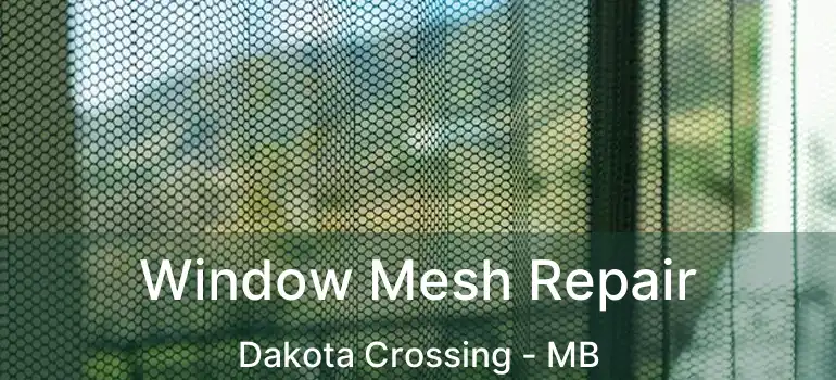 Window Mesh Repair Dakota Crossing - MB