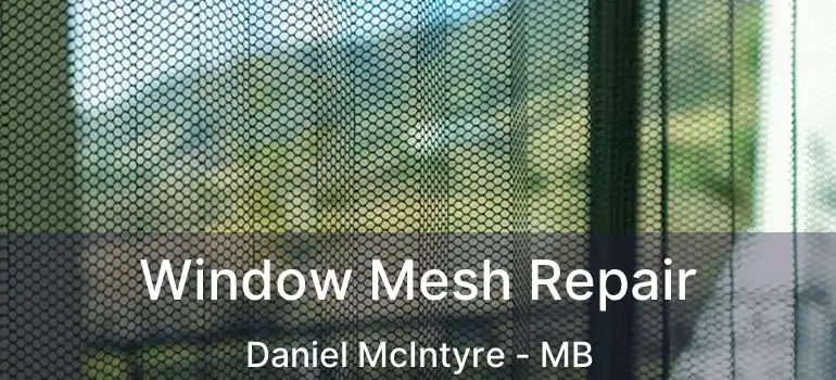 Window Mesh Repair Daniel McIntyre - MB