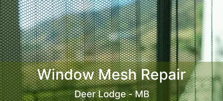  Window Mesh Repair Deer Lodge - MB