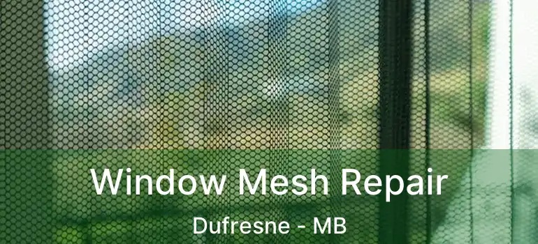  Window Mesh Repair Dufresne - MB