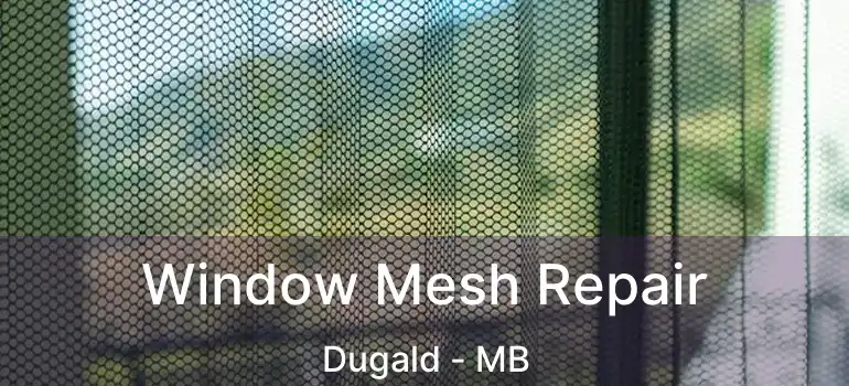  Window Mesh Repair Dugald - MB