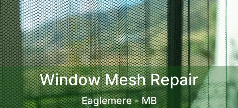  Window Mesh Repair Eaglemere - MB