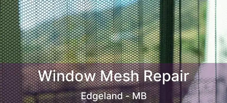  Window Mesh Repair Edgeland - MB