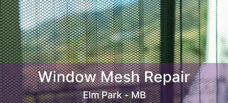  Window Mesh Repair Elm Park - MB
