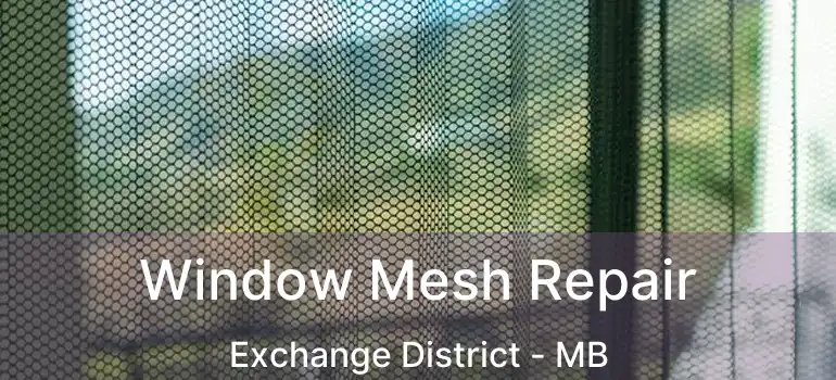  Window Mesh Repair Exchange District - MB