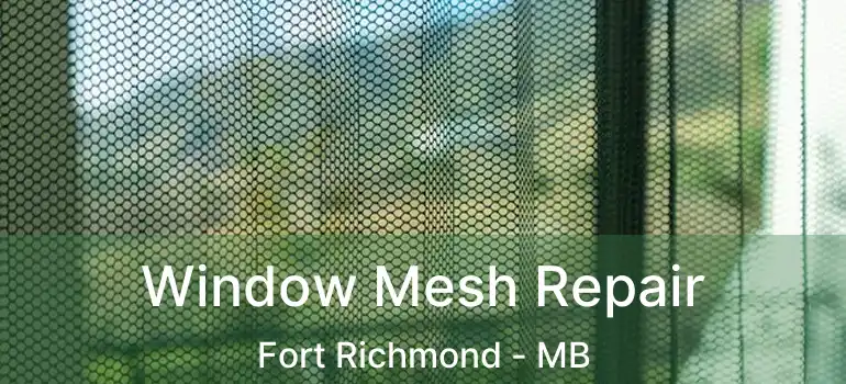  Window Mesh Repair Fort Richmond - MB