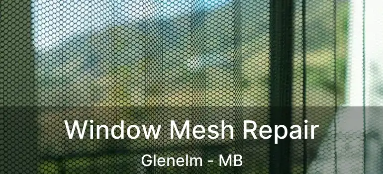 Window Mesh Repair Glenelm - MB